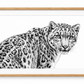 Snow Leopard fine art print in a oak frame with white mount