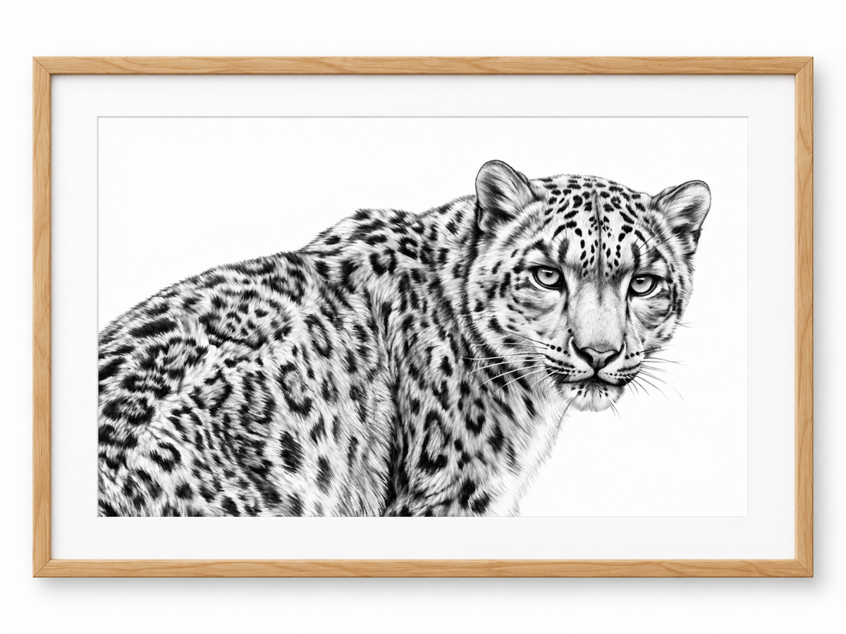 Snow Leopard fine art print in a oak frame with white mount
