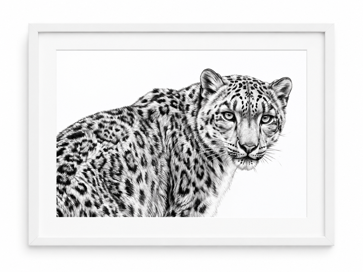 Snow Leopard fine art print in a white frame with white mount