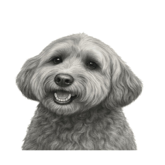 Nunki the Cockerpoo Dog Greeting Card — card front