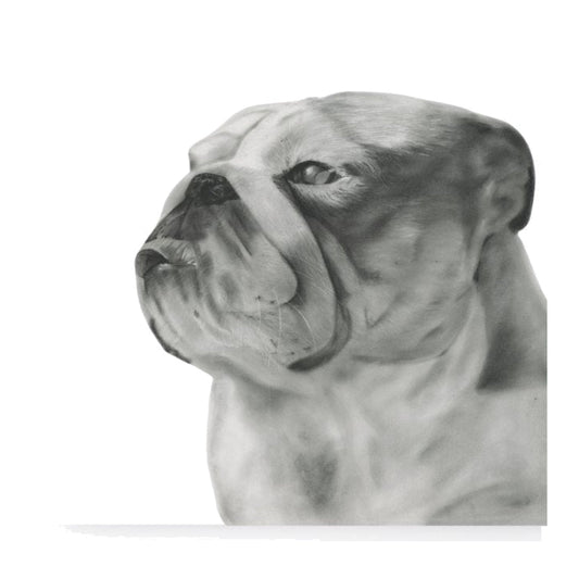 Wezen the Bulldog Greeting Card — card front