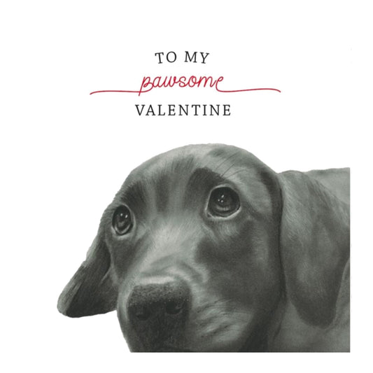 To A Pawsome Valentine Greeting Card — card front