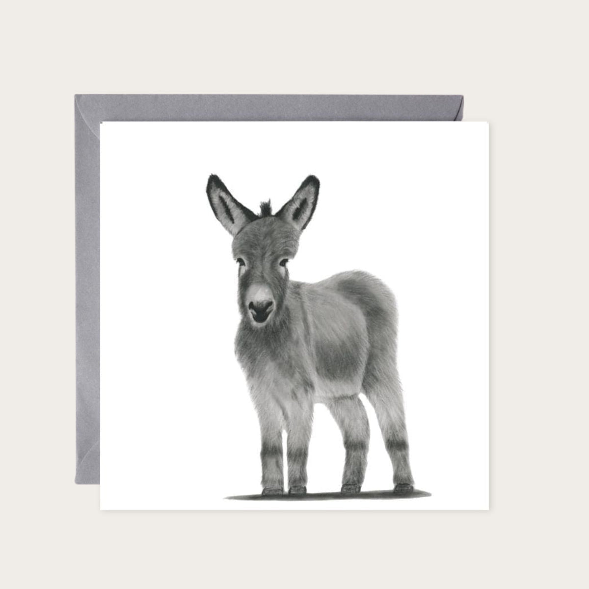 Lyra the Donkey Hand-Drawn Greeting Card – Countryside Animal Art — card with grey envelope