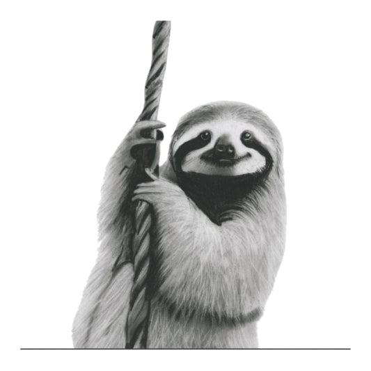 Tejat the Sloth Greeting Card — card front