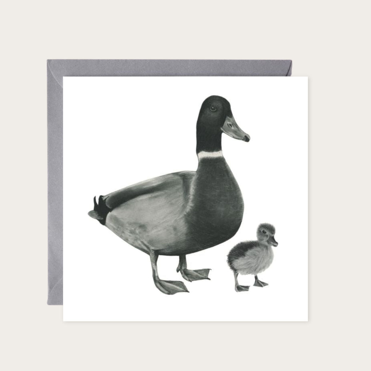 Rana the Duck and Duckling Greeting Card — card with grey envelope