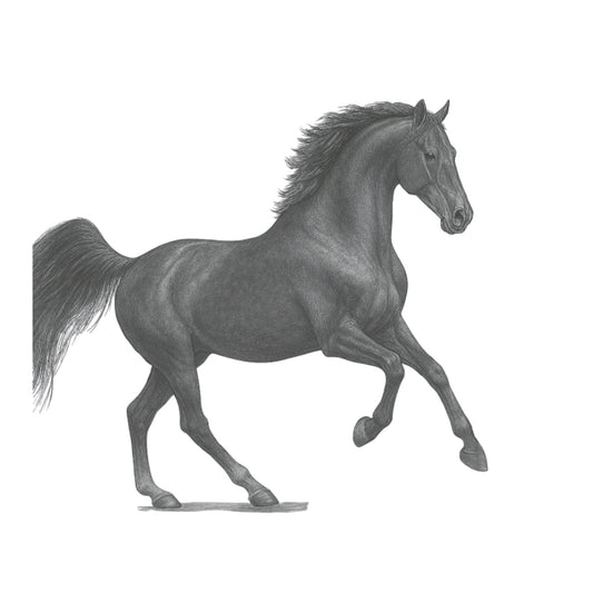 Dark Knight Horse Greeting Card — card front