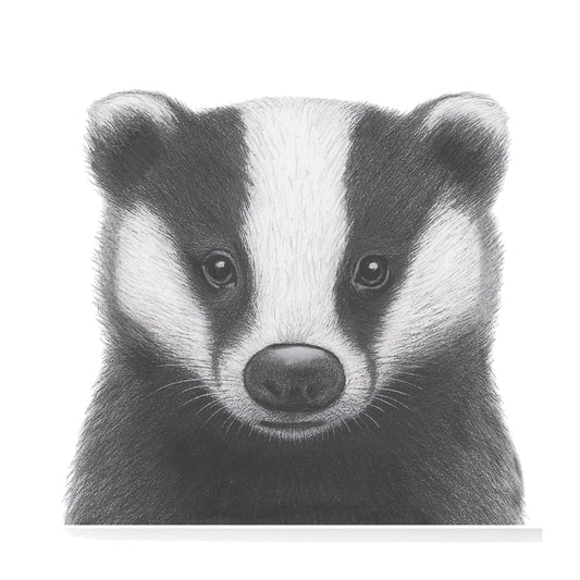 Stella the Badger Greeting Card — card front