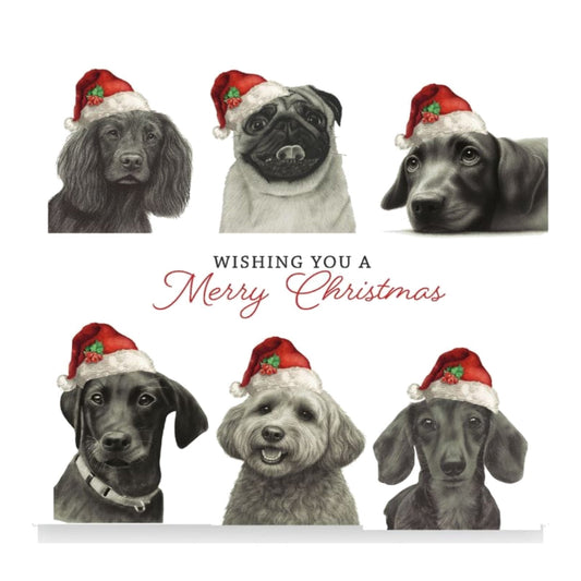 Christmas Dogs Christmas Card — card front