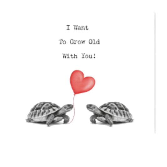 I Want To Grow Old With You – Tortoise Love Card — card front