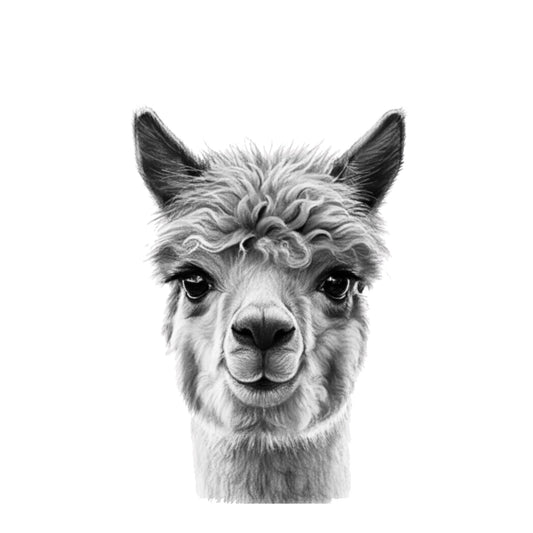 Zeta the Llama Fun Greeting Card — card front