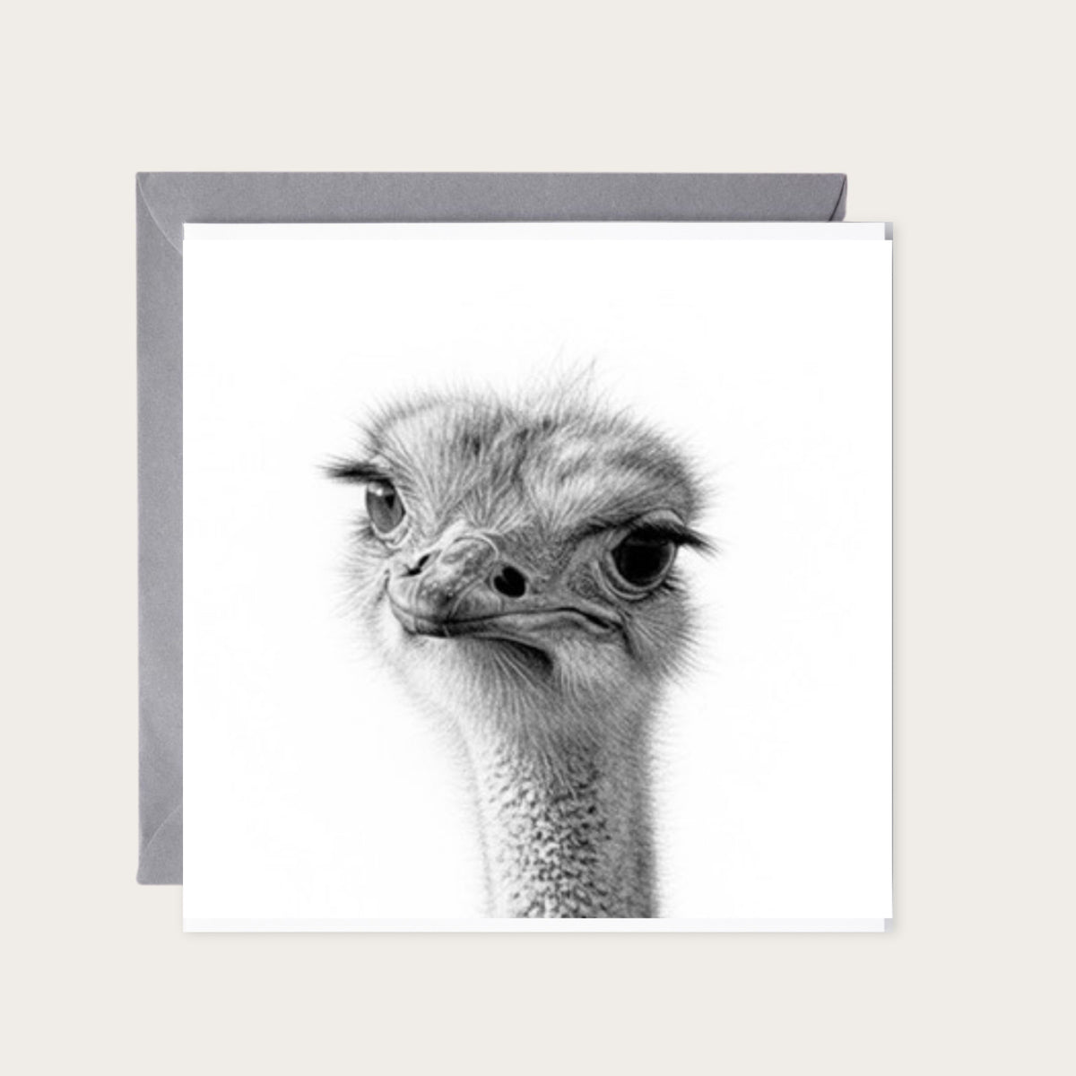Theta the Ostrich Fun Greeting Card — card with grey envelope