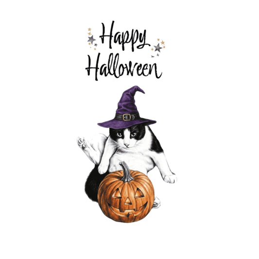 Witchy Cat & Pumpkin Halloween Card | Cute Cat Witch Hat Greeting Card — card front
