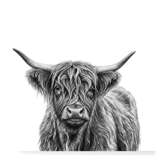 Highland Coo Greeting Card | Scottish Highland Cow — card front