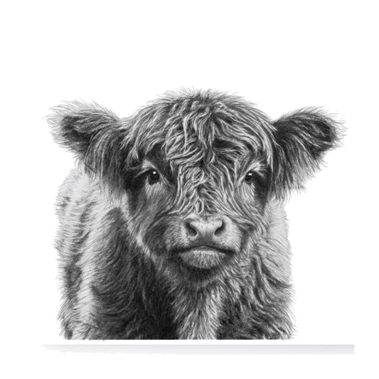 Junior the Highland Coo Greeting Card | Highland Cow — card front
