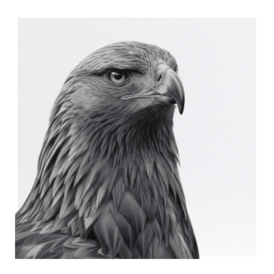 Golden Eagle Hand-Drawn Greeting Card — card front