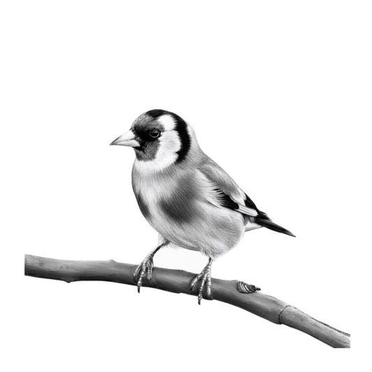 Goldfinch Bird Greeting Card — card front