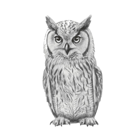Horned Owl Hand-Drawn Greeting Card — card front