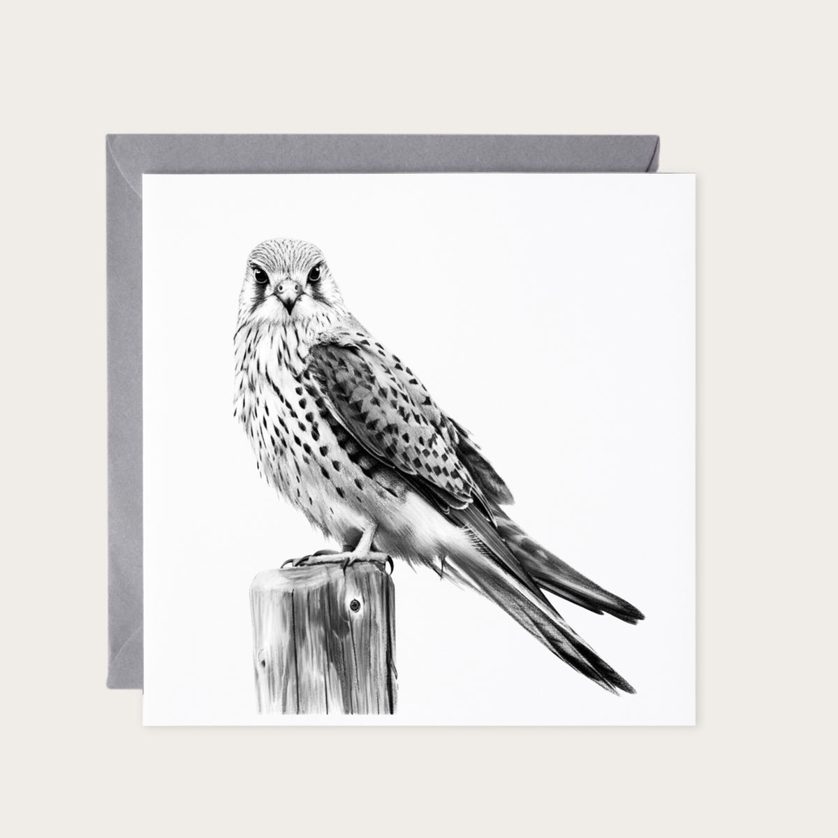 Majestic Kestrel Bird Greeting Card — card with grey envelope