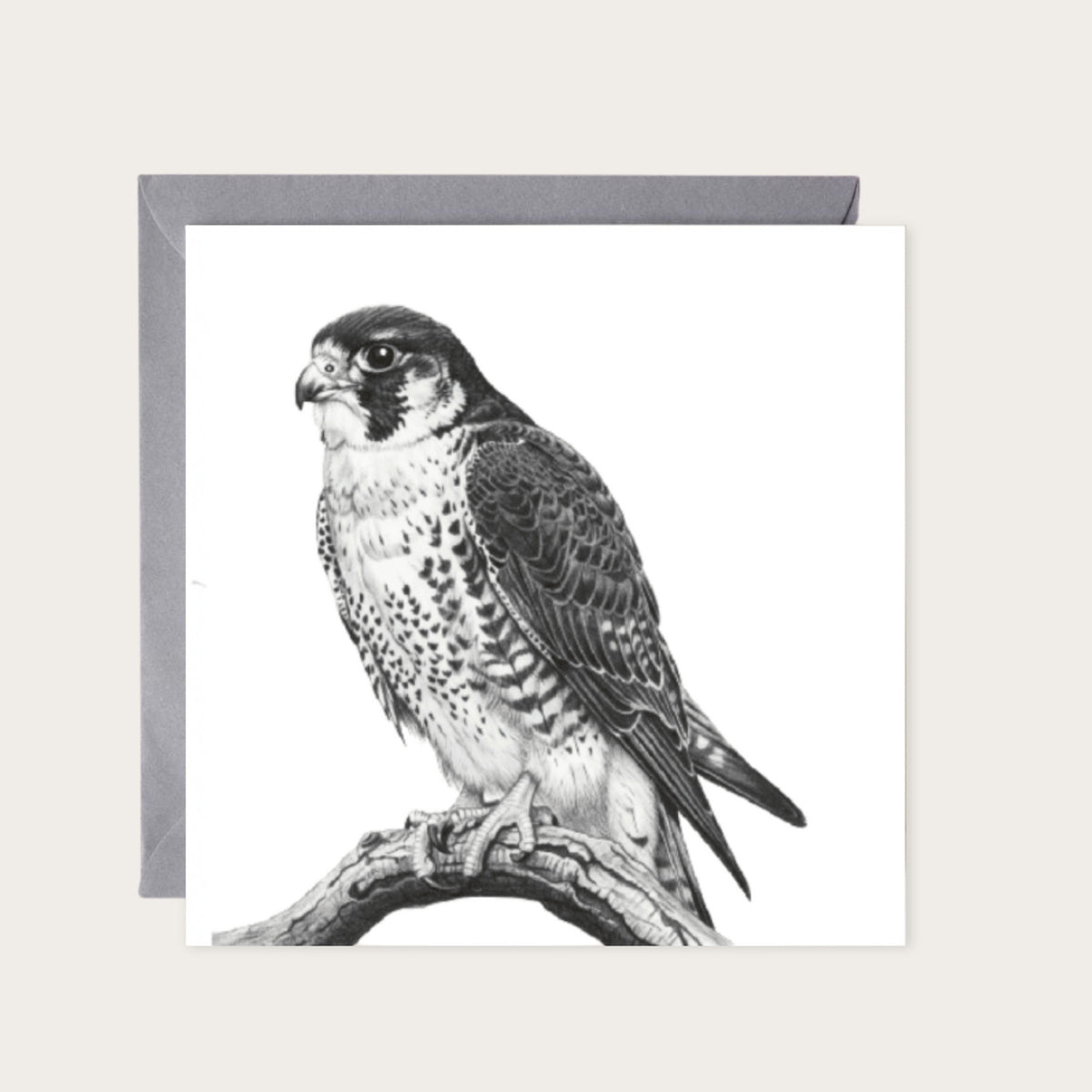Peregrine Falcon Hand-Drawn Greeting Card — card with grey envelope