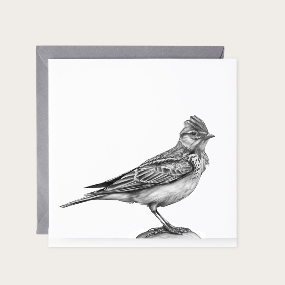 Skylark Hand-Drawn Greeting Card — card with grey envelope