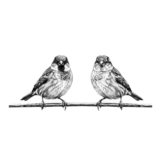 Sparrows Hand-Drawn Greeting Card — card front