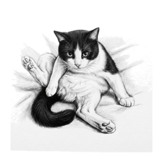Cheeky Cat Greeting Card — card front