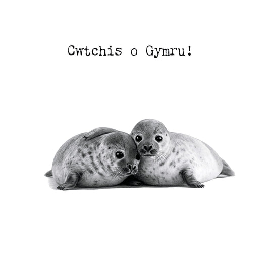 Cwtch o Gymru – Cute Seals Greeting Card — card front