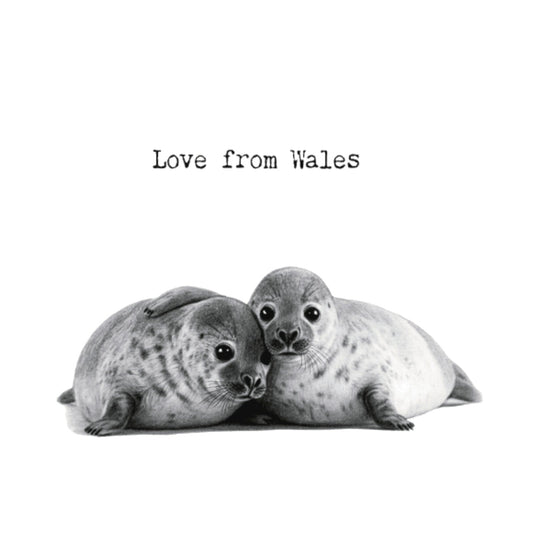 Love From Wales – Cute Seals Greeting Card — card front