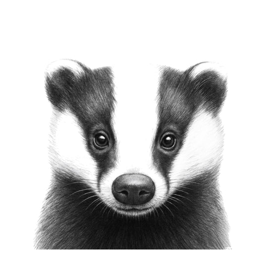 Badger Greeting Card — card front