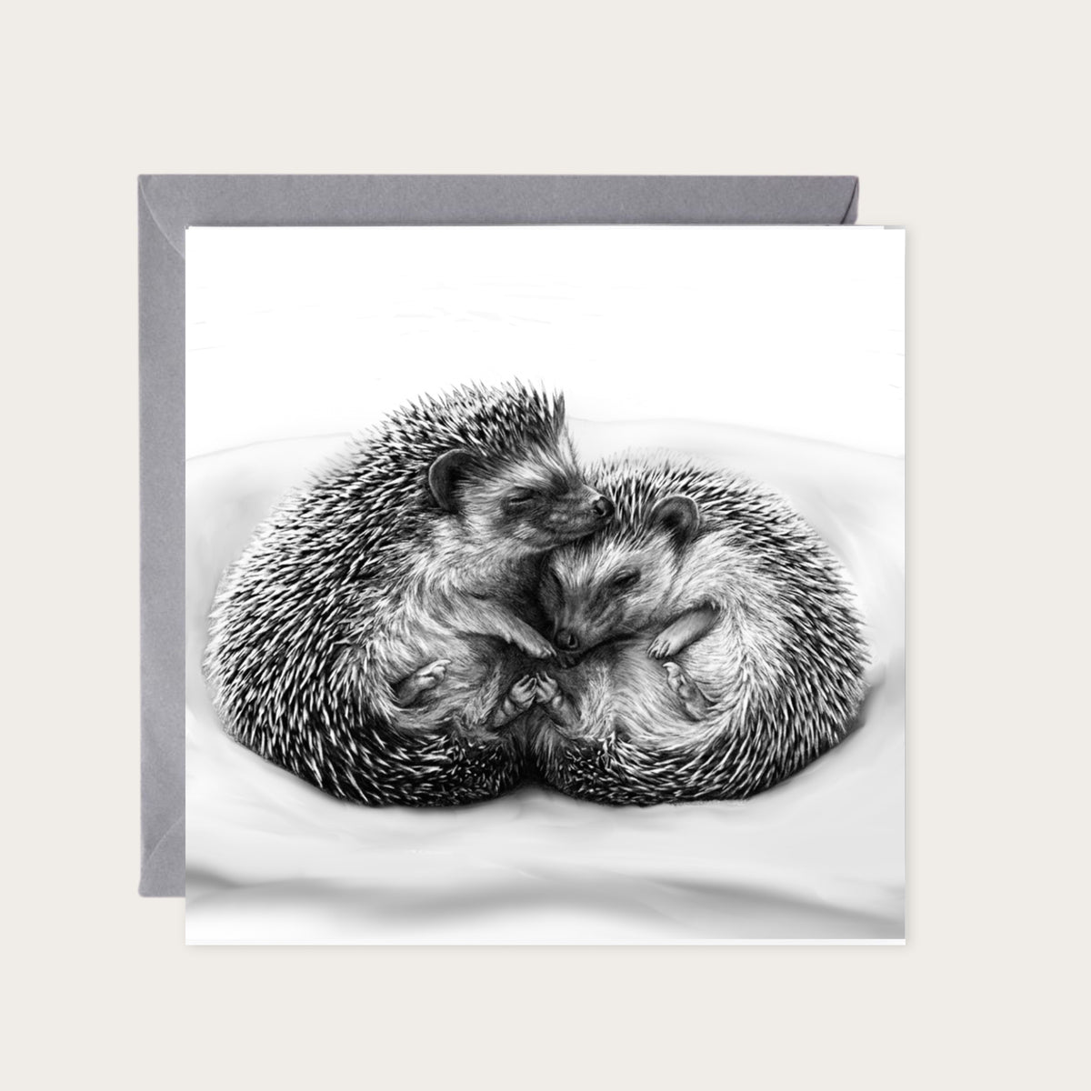 Hedgehog Cuddles Greeting Card — card with grey envelope