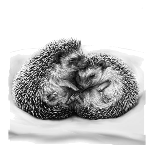 Hedgehog Cuddles Greeting Card — card front