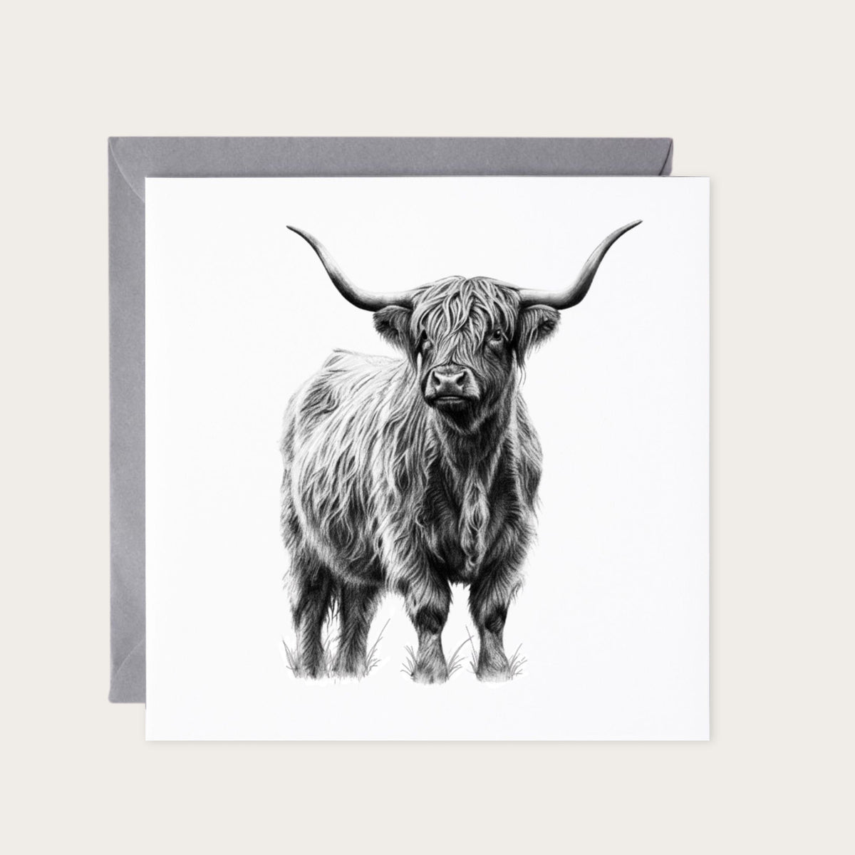 Alcor the Highland Coo — card with grey envelope