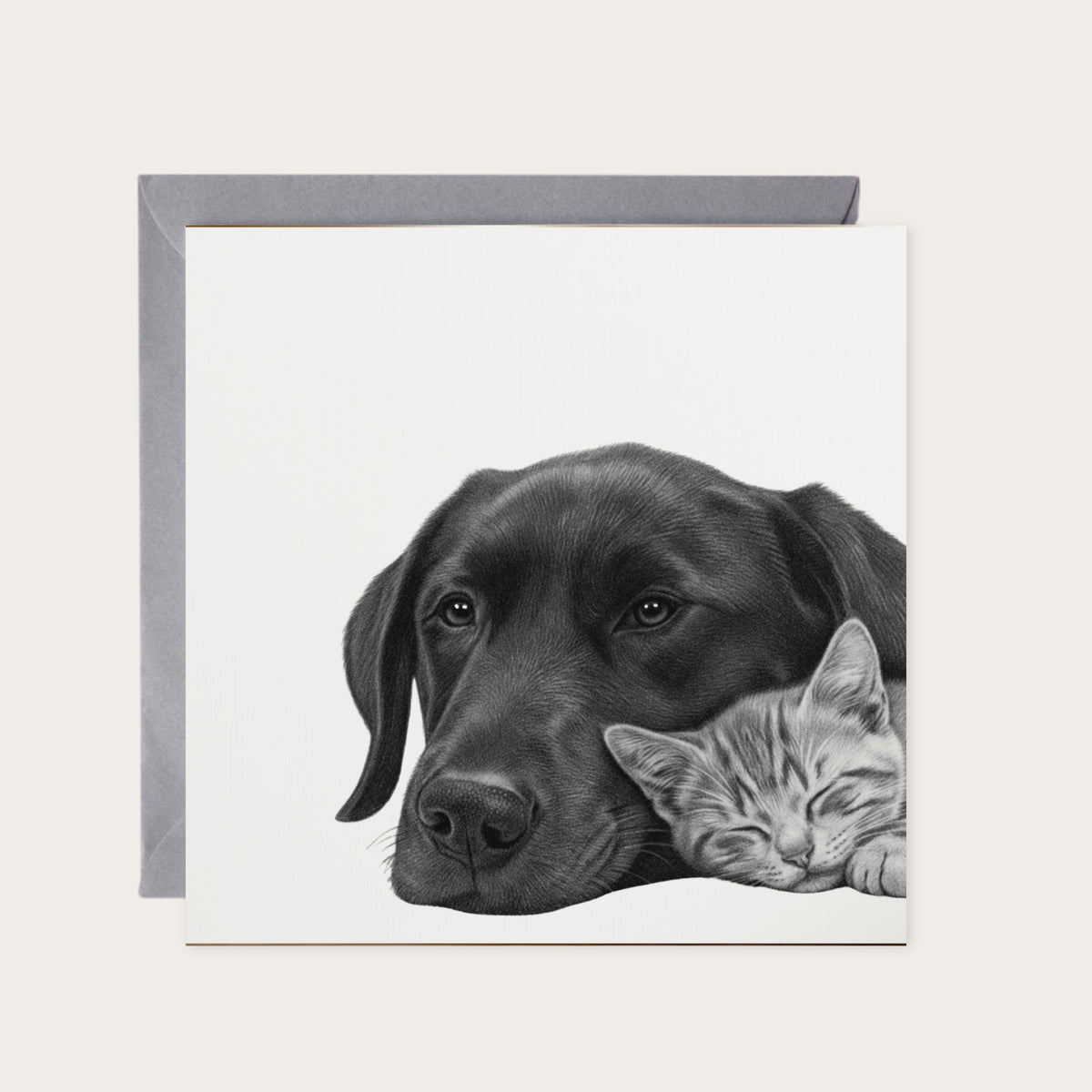 Best Friends Cuddles – Hand-Drawn Cat & Dog Greeting Card | Heartwarming Pet Art — card with grey envelope