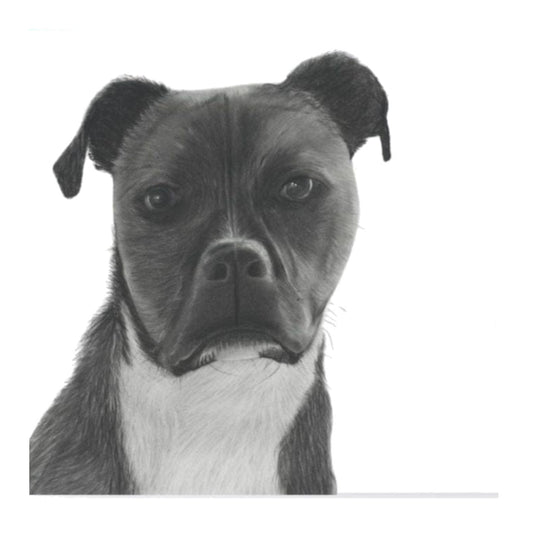 Betelgeuse Staffador X Greeting Card — card front