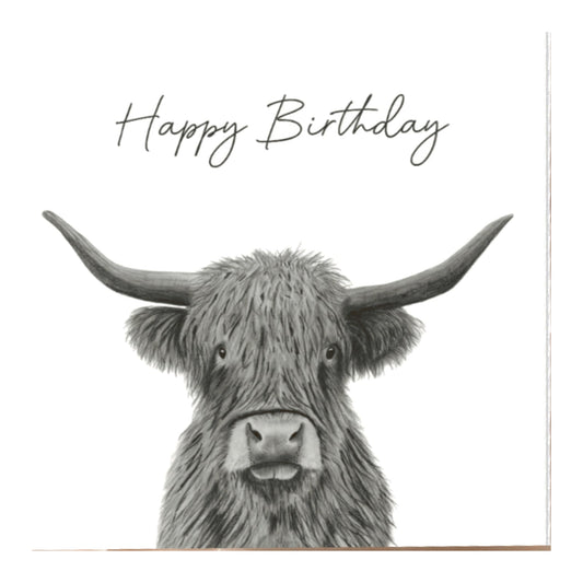 Birthday Coo Birthday  Card — card front