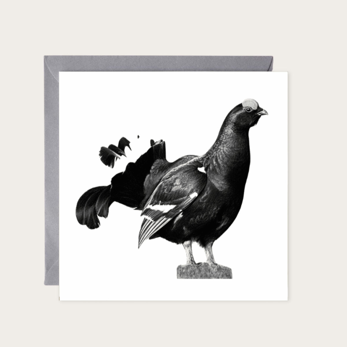 Black Grouse – British Wildlife Greeting Card — card with grey envelope