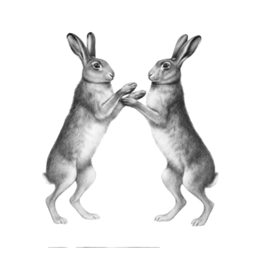Boxing Hares Greeting Card — card front