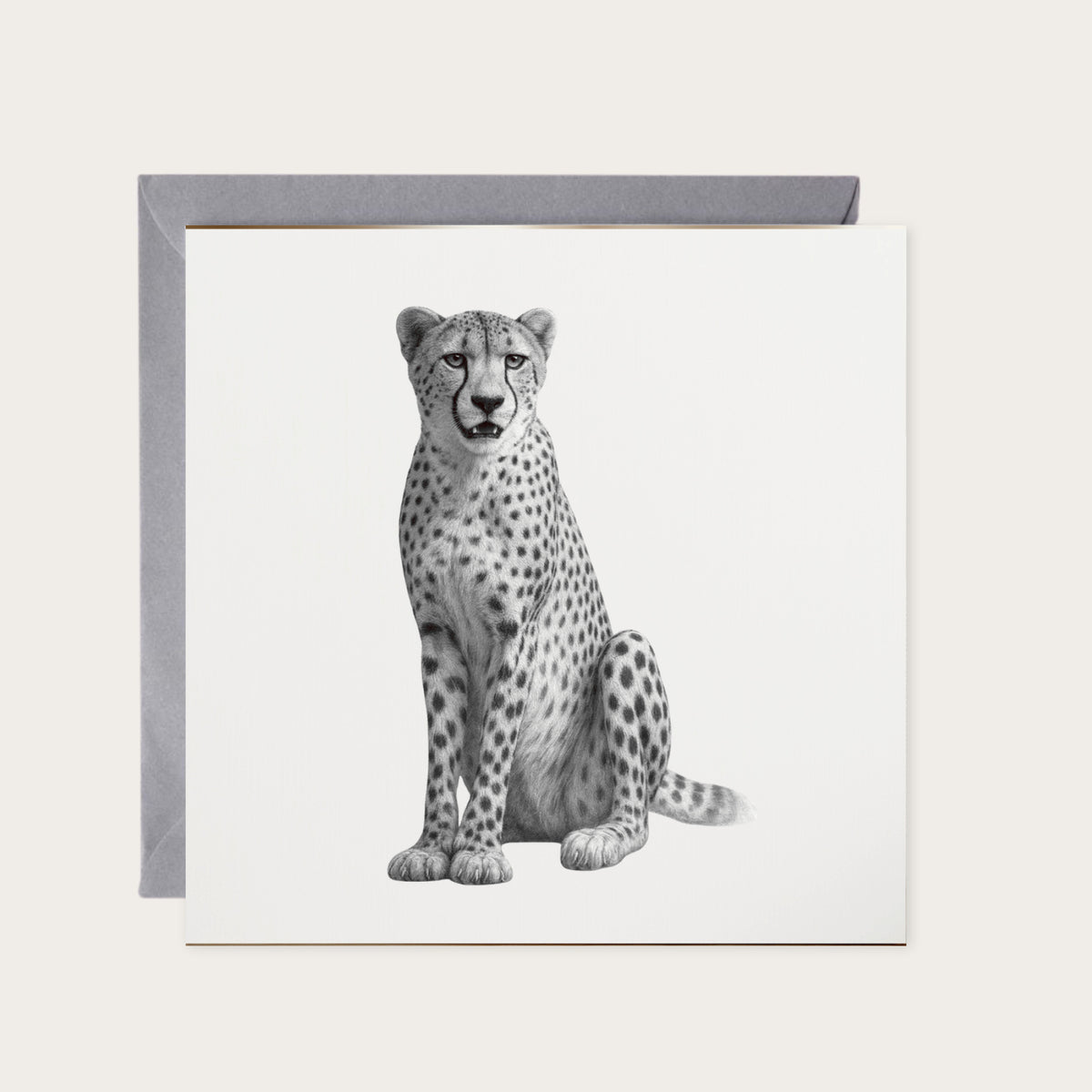 Cheetah – Hand-Drawn Greeting Card | Majestic Wildlife Art — card with grey envelope