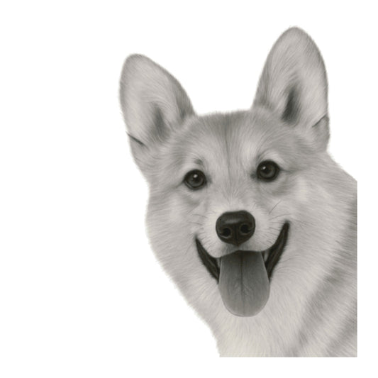Corgi Dog – Hand-Drawn Greeting Card | Playful & Charming Pet Art — card front