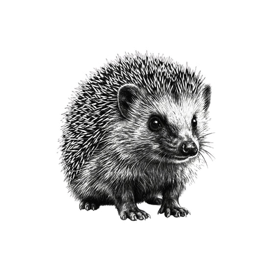 Cute Hedgehog Countryside Greeting Card — card front