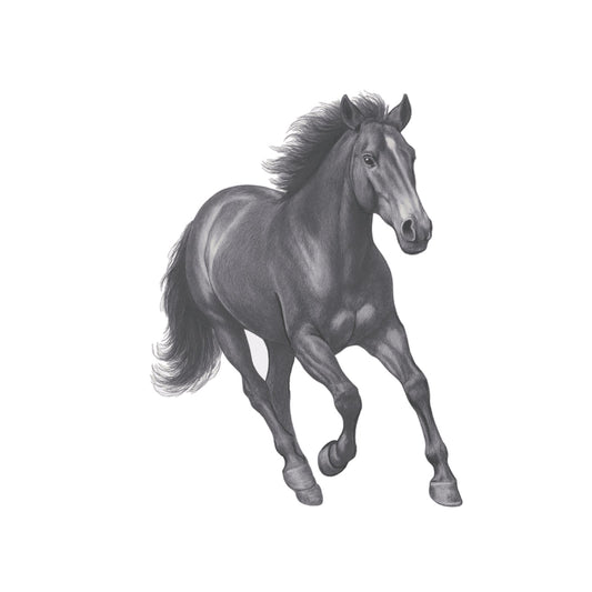 Delta the Running Horse – Dynamic Equestrian Greeting Card — card front