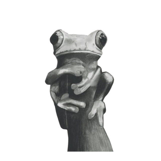 Draco the Tree Frog – Hand-Drawn Greeting Card | Whimsical Wildlife Art — card front
