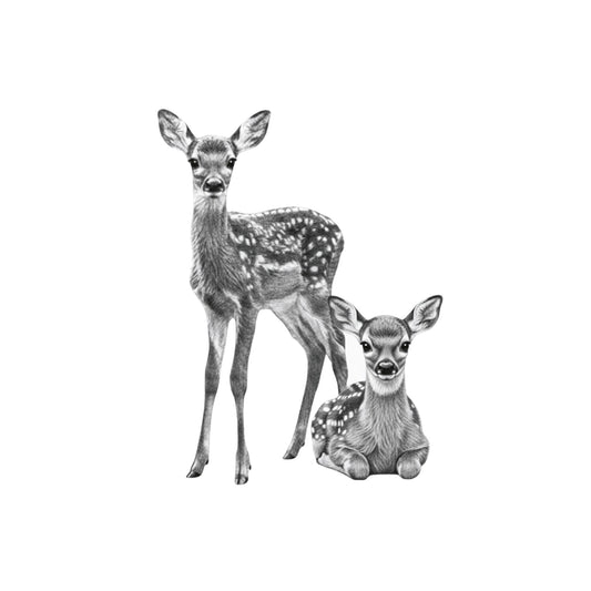 Fawn and Baby Hand Drawn Greeting Card — card front