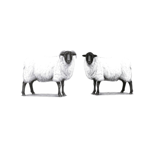 Ewe and Me Sheep Greeting Card — card front