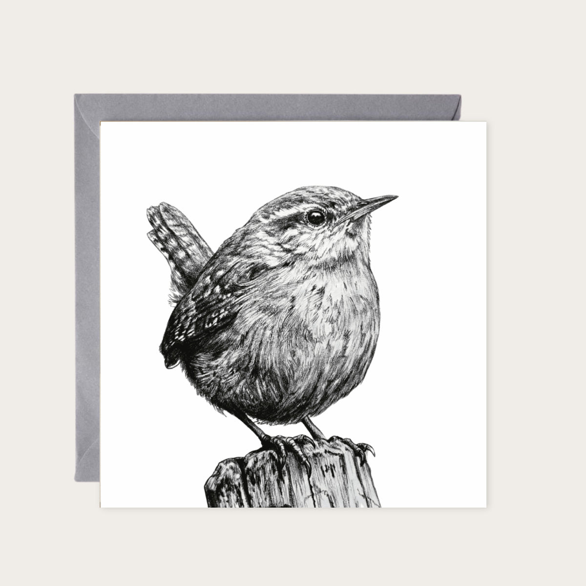 Wren – Hand-Drawn Greeting Card | Charming Wildlife & Garden Art — card with grey envelope