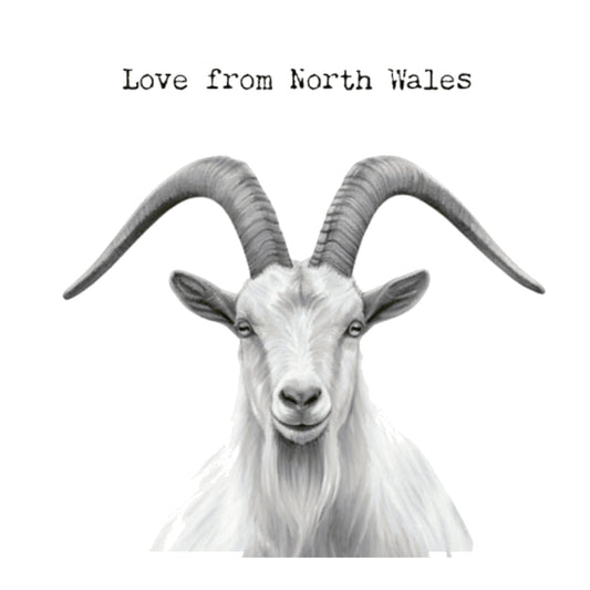 With Love From North Wales –Orme Goat Greeting Card — card front