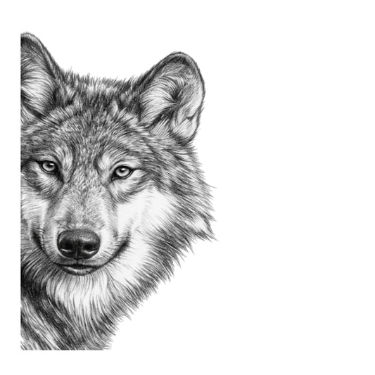 Wolf Greeting Card — card front