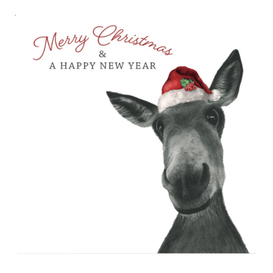 Merry Christmas Donkey Greeting Card — card front