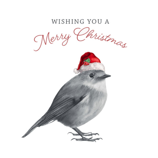 Merry Christmas Robin Red Hat Christmas Card — card front