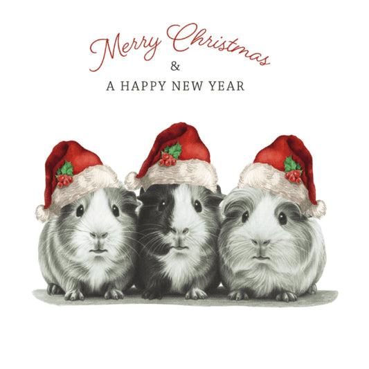 Merry Christmas – Guinea Pigs Hand-Drawn Festive Greeting Card — card front